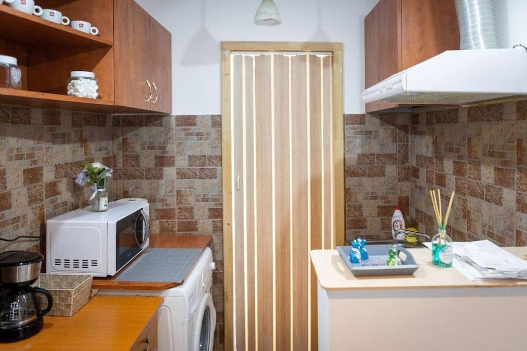 Friendly Little Studio Брашов Екстер'єр фото