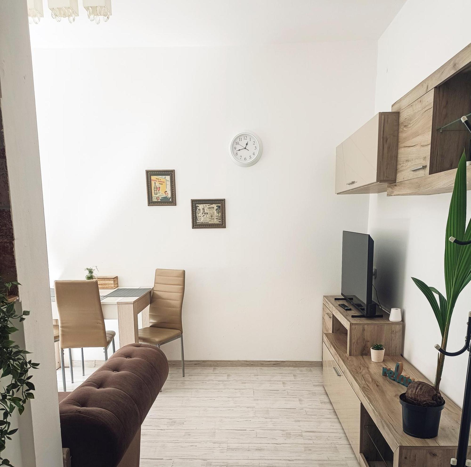 Friendly Little Studio Брашов Екстер'єр фото