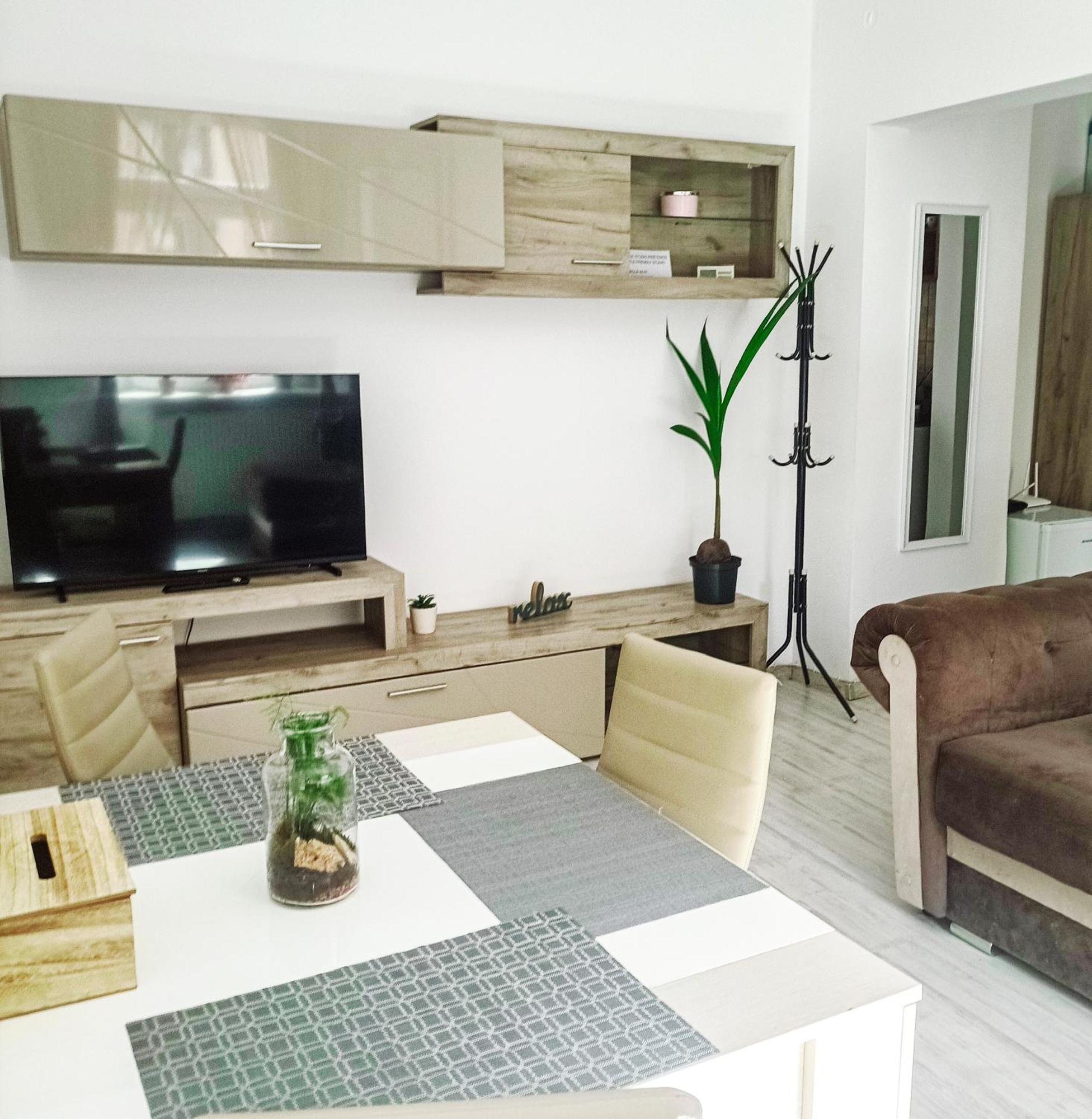 Friendly Little Studio Брашов Екстер'єр фото